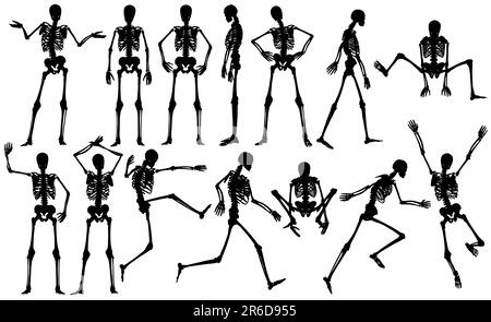 Ensemble de vecteurs modifiables squelette mâle décrit Illustration de Vecteur
