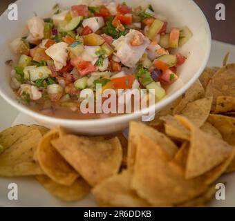 Classique Conch ceviche de Belize avec des chips Banque D'Images