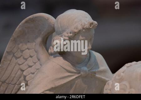 Gros plan de l'ange dans une cathédrale sculptée en marbre montrant le bout de l'aile, la tête avec le chapeau et les cheveux bouclés Banque D'Images