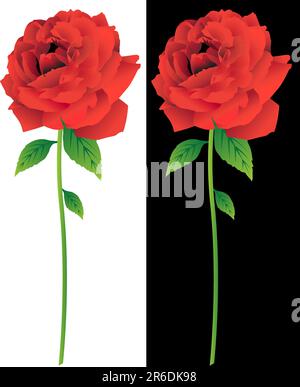 3D image de roses rouges avec arrière-plans blanc et noir. Illustration de Vecteur