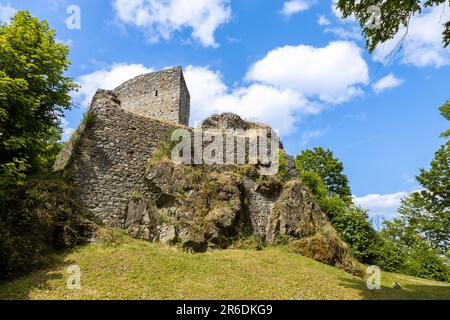 Hladomorna, gotický hrad Cesky Sternberk (1241), Posazavi, Stredocesky kraj, Ceska republika / château gothique Cesky Sternberk, rivière Sazava, CEN Banque D'Images