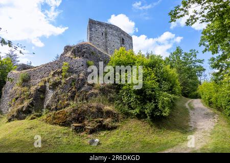 Hladomorna, gotický hrad Cesky Sternberk (1241), Posazavi, Stredocesky kraj, Ceska republika / château gothique Cesky Sternberk, rivière Sazava, CEN Banque D'Images