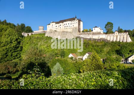 Gotický hrad Cesky palais Sternberg (1241), Stredocesky kraj, Posazavi, Ceska Republika / château gothique Cesky palais Sternberg, rivière Sazava, région de Bohême centrale Banque D'Images