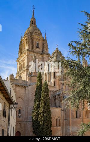 Tours de la cathédrale de Salamanque, site classé au patrimoine mondial de l'UNESCO Banque D'Images