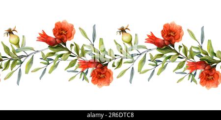 Branches de grenade avec fleurs rouges et jeunes fruits aquarelle horizontale sans couture illustration de bannière Banque D'Images