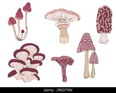 Jeu d'illustrations de champignons. Illustration de dessin à la main dans un style de dessin animé isolé sur blanc Banque D'Images