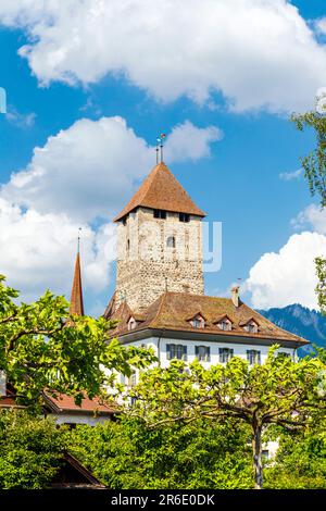 Vue sur le château de Spiez à Spiez, en Suisse Banque D'Images