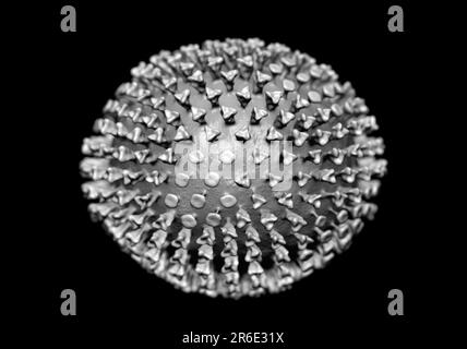 Virus de la grippe, illustration informatique. Chaque virus est constitué d'un noyau de matériel génétique d'ARN (acide ribonucléique) entouré d'une couche protéique. Intégré dans Banque D'Images