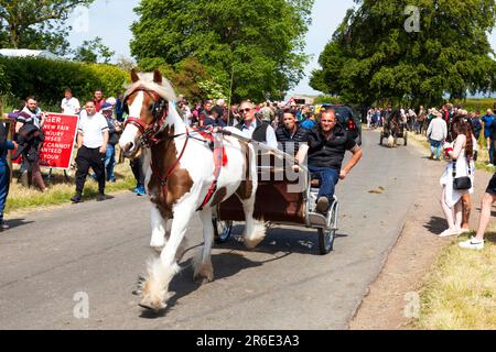 L'historique Appleby Horse Fair, Appleby-in-Westmorland, Cumbria, Angleterre, Royaume-Uni Banque D'Images