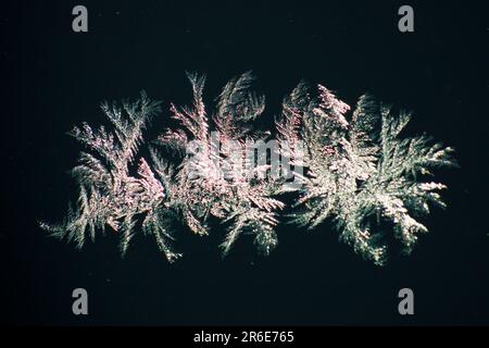 Cristaux de glace sur le pare-brise d'une voiture par temps froid, pendant le grand gel de janvier 2010 au Royaume-Uni. Banque D'Images