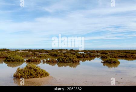 Les marais salants de Playa Barca, Fuerteventura Banque D'Images