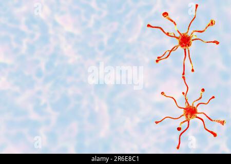 Cellules nerveuses du cerveau humain, neurones, illustration informatique. Banque D'Images