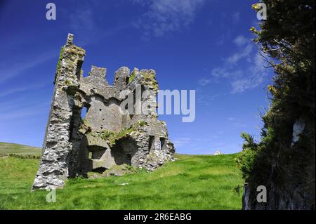 Ruines du château de Rahinnane, Slea Head Drive, Dingle, comté de Kerry, château de Rahinnane, Irlande Banque D'Images
