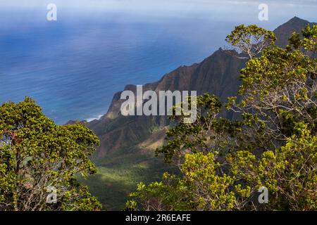 Vue panoramique sur la vallée de Kalalau dans le parc national de Koke'e Banque D'Images