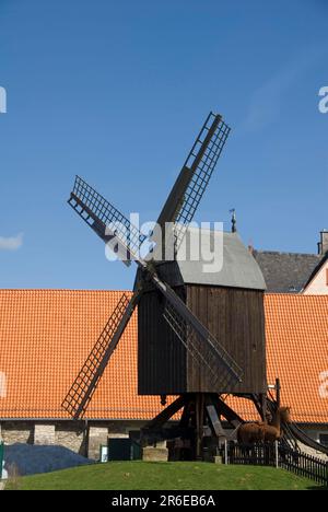 Bockwindmuehle, jardin du moulin, Osterlinder, Musée Staedtisches Schloss Salder, Salder, Salzgitter, Basse-Saxe, Allemagne Banque D'Images