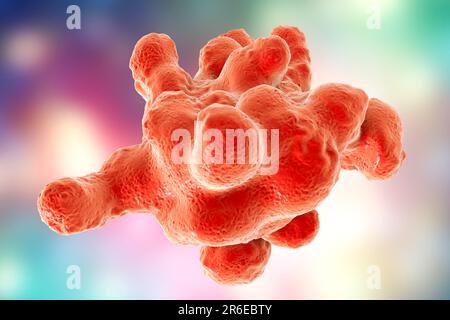 L'amibe parasite (Entamoeba histolytica) provoque une dysenterie amibienne et des ulcères (stade trophozoïte végétatif), illustration informatique. La dysenterie amibienne est Banque D'Images