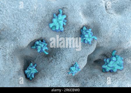 L'amibe parasite (Entamoeba histolytica) provoque une dysenterie amibienne et des ulcères (stade trophozoïte végétatif), illustration informatique. La dysenterie amibienne est Banque D'Images