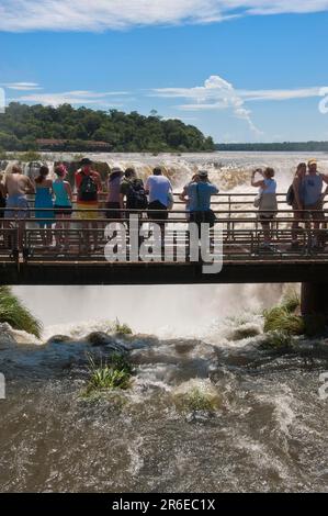 Touristes sur la passerelle, chutes d'Iguazu, Iguacufaelle, province de Misiones, Argentine Banque D'Images