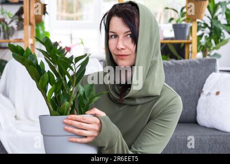 Zamioculcas sans prétention et populaire entre les mains d'une femme à l'intérieur d'une maison verte avec des collections de rayonnages de plantes domestiques. Récolte initiale Banque D'Images