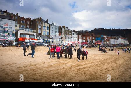 Promenades en bord de mer à dos d'âne sur la plage de Scarborough Banque D'Images