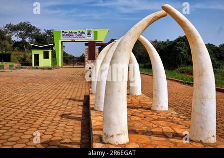 Parc national de Kichumbanybo-Tor im Murchison Falls en Ouganda Banque D'Images