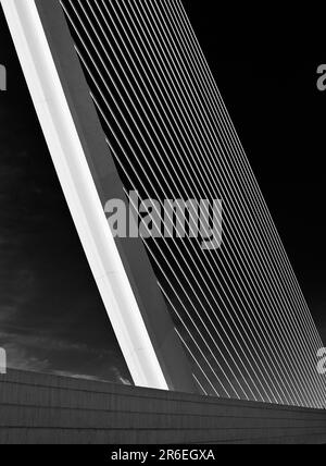 Puente l'Assut de l'Or fait partie de la Ciudad de las Artes y las Ciencias, l'architecte Santiago Calatrava a construit un monument à sa ville natale Banque D'Images