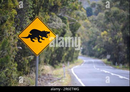 Panneau de signalisation Bag Devil, Tasmanie, Tasmanian Devil, Australie Banque D'Images