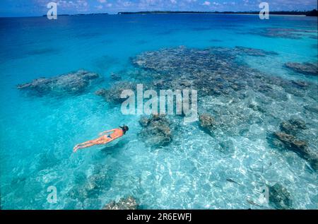 Femme regardant le corail pendant la plongée en apnée dans le lagon de l'île de Manihi, l'océan Pacifique, le Pacifique Sud, la Polynésie française, l'Océanie Banque D'Images