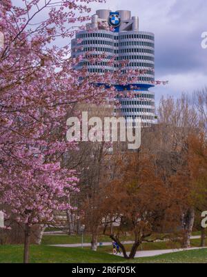 Cerisiers en fleurs à Olympiaturm, Olympiapark, Munich, Allemagne Banque D'Images