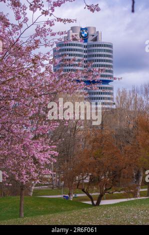 Cerisiers en fleurs à Olympiaturm, Olympiapark, Munich, Allemagne Banque D'Images