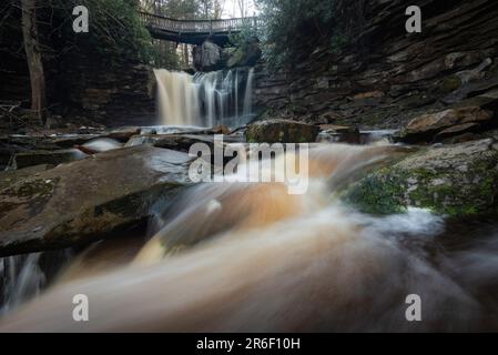 L'eau de couleur cola des chutes d'Elakala est causée par l'acide tannique qui coule dans l'eau du feuillage environnant. Banque D'Images