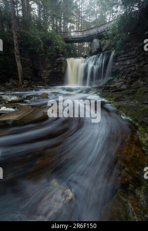 L'eau mousseuse s'éloigne des chutes d'Elakala en Virginie occidentale. Banque D'Images