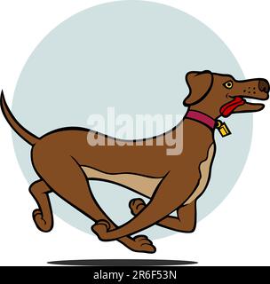 Caricature d'un chien labrador exécutant isolé sur un fond blanc. Illustration de Vecteur