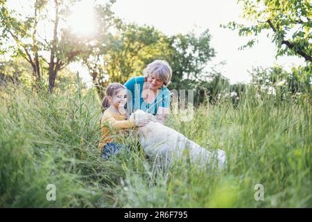 La grand-mère aux cheveux gris et la petite petite-fille mignonne marchent leurs chiens ensemble dans le parc. Femme âgée belle accidents vasculaires cérébraux Labrador doré et Banque D'Images