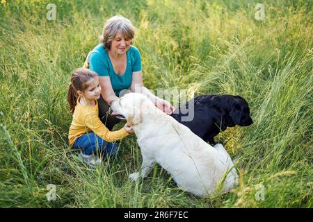 La grand-mère aux cheveux gris et la petite petite-fille mignonne marchent leurs chiens ensemble dans le parc. Femme âgée belle accidents vasculaires cérébraux Labrador doré et Banque D'Images