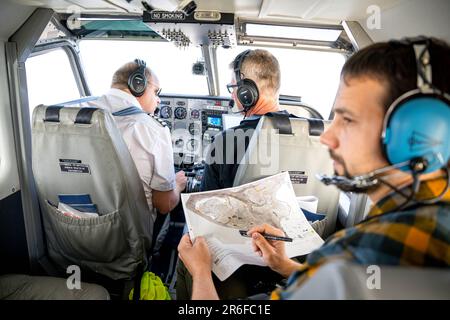 Nordsee, Allemagne. 09th juin 2023. OLE Stejskal de l'Office d'État de Basse-Saxe pour la protection des consommateurs et la sécurité alimentaire (Laves) saisit le nombre de phoques observés sur une carte dans l'avion. Les vols de contrôle pour compter les phoques dans la mer des Wadden commencent sur la côte de Basse-Saxe. Dans les airs, les experts comptent et photographient les vieux et les jeunes animaux qui se reposent à marée basse. Credit: Sina Schuldt/dpa/Alay Live News Banque D'Images