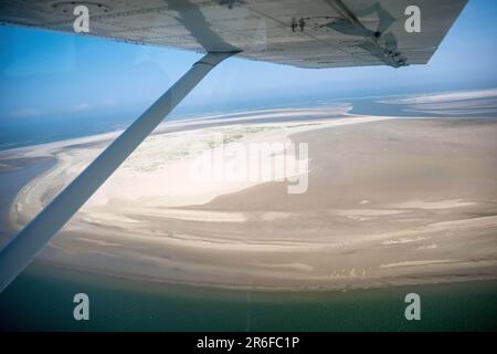 Nordsee, Allemagne. 09th juin 2023. Les bancs de sable de l'île de la Frise orientale sont recherchés par avion pour trouver des phoques. Sur la côte de Basse-Saxe, commencez les vols de contrôle pour compter les phoques dans la mer des Wadden. Dans les airs, les experts comptent et photographient les vieux et les jeunes animaux qui se reposent à marée basse. Credit: Sina Schuldt/dpa/Alay Live News Banque D'Images