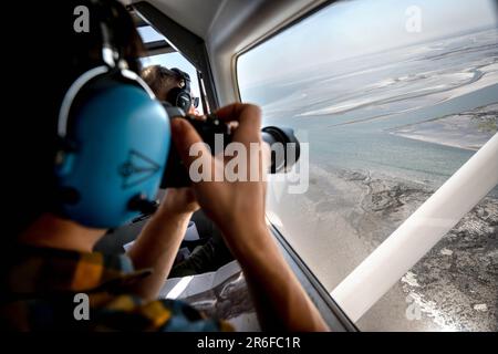 Nordsee, Allemagne. 09th juin 2023. OLE Stejskal, de l'Office d'État de Basse-Saxe pour la protection des consommateurs et la sécurité alimentaire (Laves), photographie les phoques d'un avion. Les vols de contrôle pour compter les phoques dans la mer des Wadden commencent sur la côte de Basse-Saxe. Dans les airs, les experts comptent et photographient les vieux et les jeunes animaux qui se reposent à marée basse. Credit: Sina Schuldt/dpa/Alay Live News Banque D'Images