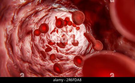 Cellules sanguines dans la veine. Globules rouges circulant dans les vaisseaux sanguins. soins médicaux. Traitement vasculaire. Vaisseau sanguin avec érythrocytes fluides. 3d i Banque D'Images