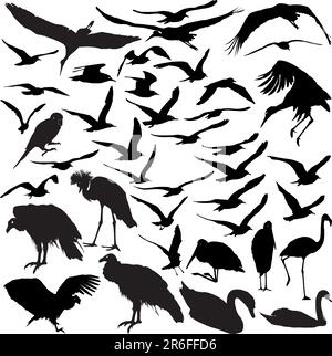 Jeu de vector silhouettes d'oiseaux en vol Illustration de Vecteur