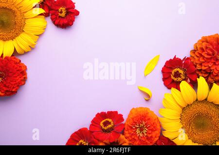 Fleurs d'automne arrangements faits de tournesols, feuilles et fleurs sur fond violet, vue de dessus. Composition créative. Vue de dessus Banque D'Images