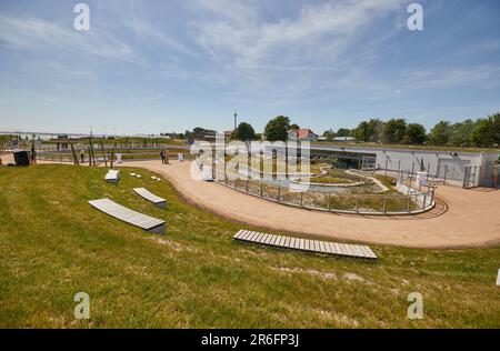 09 juin 2023, Schleswig-Holstein, Tönning: Vue sur la zone extérieure de la nouvelle installation de loutres au parc national-Zentrum Multimar Wattaforum. La ministre de l'Environnement, Tobias Goldschmidt, a ouvert la nouvelle installation de loutre au Nationalpark-Zentrum Multimar Wattforum. Photo: Georg Wendt/dpa Banque D'Images