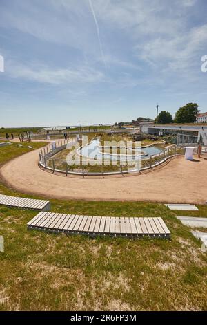 09 juin 2023, Schleswig-Holstein, Tönning: Vue sur la zone extérieure de la nouvelle installation de loutres au parc national-Zentrum Multimar Wattaforum. La ministre de l'Environnement, Tobias Goldschmidt, a ouvert la nouvelle installation de loutre au Nationalpark-Zentrum Multimar Wattforum. Photo: Georg Wendt/dpa Banque D'Images