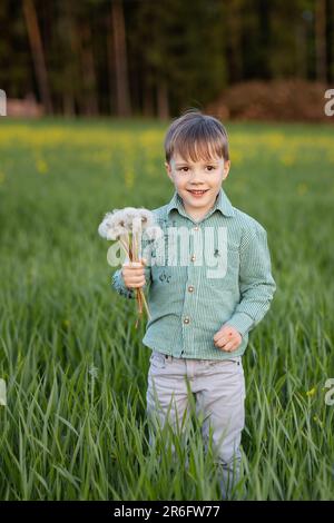 le bébé marche dans la grande herbe et apporte à sa mère un bouquet d'un pissenlit Banque D'Images