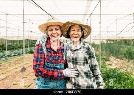 Joyeuses agricultrices multiraciales souriant à la caméra tout en travaillant à l'intérieur de serre agricole - concept de mode de vie des agriculteurs Banque D'Images