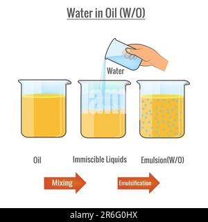 Une illustration de liquides immiscibles huile et eau mélangés dans une émulsion Banque D'Images