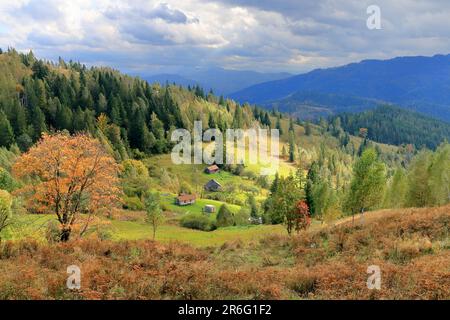 La photo a été prise en Ukraine, dans les montagnes des Carpates. La photo montre un paysage d'automne avec des maisons de village. Banque D'Images