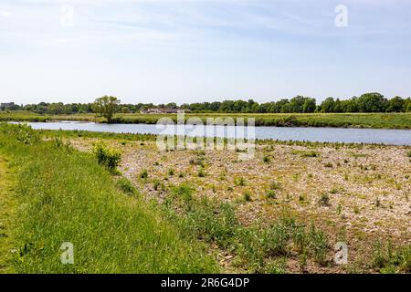 Rive de la rivière Maas avec eau courante dans la réserve naturelle hollandaise Borgharen Maasvallei, arbres et village belge en arrière-plan, jour de printemps ensoleillé avec clair Banque D'Images