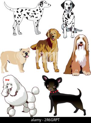 Illustration vectorielle de 7 chiens ou chiots isolés. Illustration de Vecteur