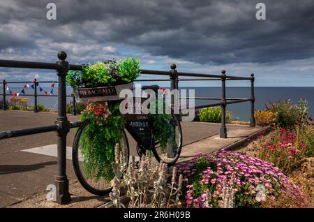 Près de la falaise de Saltburn, une ville balnéaire de Redcar et Cleveland, dans le Yorkshire du Nord, en Angleterre. Banque D'Images